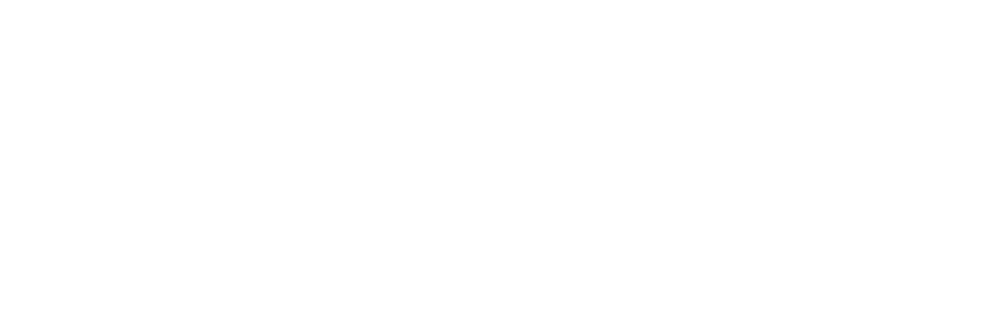Logo ISM